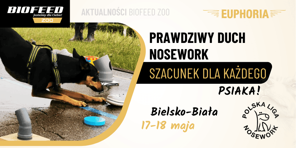 Zawody Nosework w Bielsku-Białej z BIOFEED ZOO