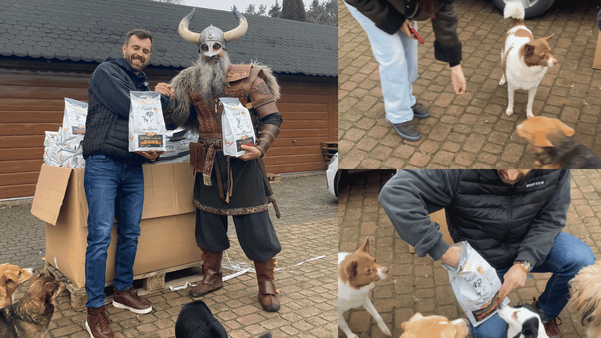 Razem dla psów — BIOFEED, Kanał Zero i Kuchnia Vikinga łączą siły